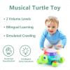 imageiPlay iLearn Baby Musical Turtle Toy Spanish English Bilingual Learning Toddler Crawling Toys W Light ampamp Sound Infant Development Educational Birthday Gifts 6 7 8 9 10 12 Month 1 Year Old Boy Girl
