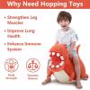 imageiPlay iLearn Bouncy Pals Kids Dinosaur Hopper Ball Inflatable Bouncing Animal Hopping Toys Large Plush Ride on TREX Bouncer Outdoor Indoor Birthday Gift for 3 4 5 6 Year Old Boys Girls ToddlersTREX