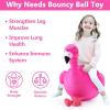 imageiPlay iLearn Bouncy Pals Kids Flamingo Hopper Ball Inflatable Bouncing Animal Hopping Toys Pink Plush Ride on Bouncer Outdoor Indoor Active Jumping Birthday Gift for 3 4 5 6 Year Old Girl ToddlerFlamingo