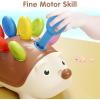 imageiPlay iLearn Fine Motor Toys for Toddlers 13 Baby Hedgehog Montessorri Learning Set Educational Counting Sorter Toy Development Infant Gifts 9 12 18 Month 1 2 3 Year Old Boys Girls Kids Babies
